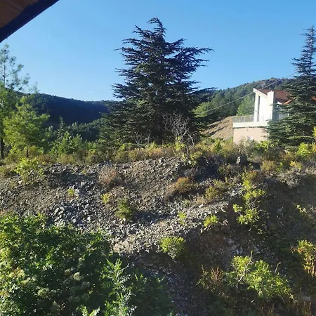 The Mouflon House Pedoulas