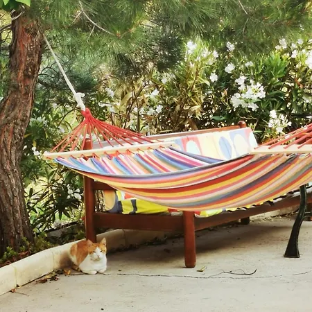 Дом отдыха The Mouflon House Pedoulas *