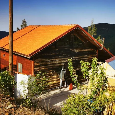 The Mouflon House Pedoulas Дом отдыха *