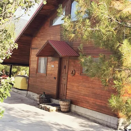 Holiday home The Mouflon House Pedoulas Nicosia