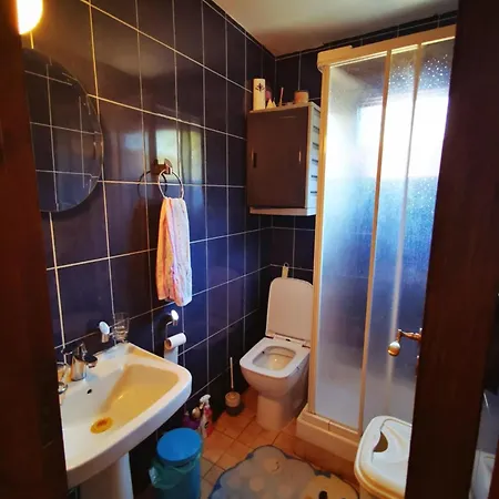 The Mouflon House Pedoulas Дом отдыха Никосия