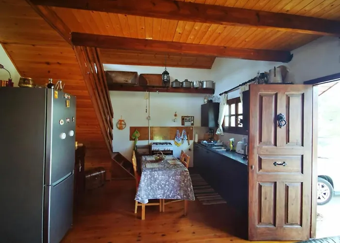 The Mouflon House Pedoulas *